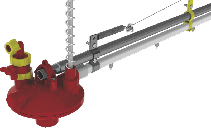 Avige Avicultura -Venta de equipamientos avícolas y de cerdos