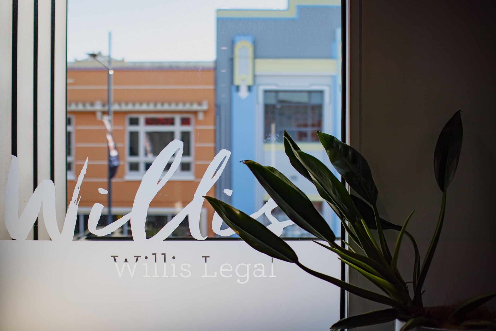 Willis Legal Napier office interior