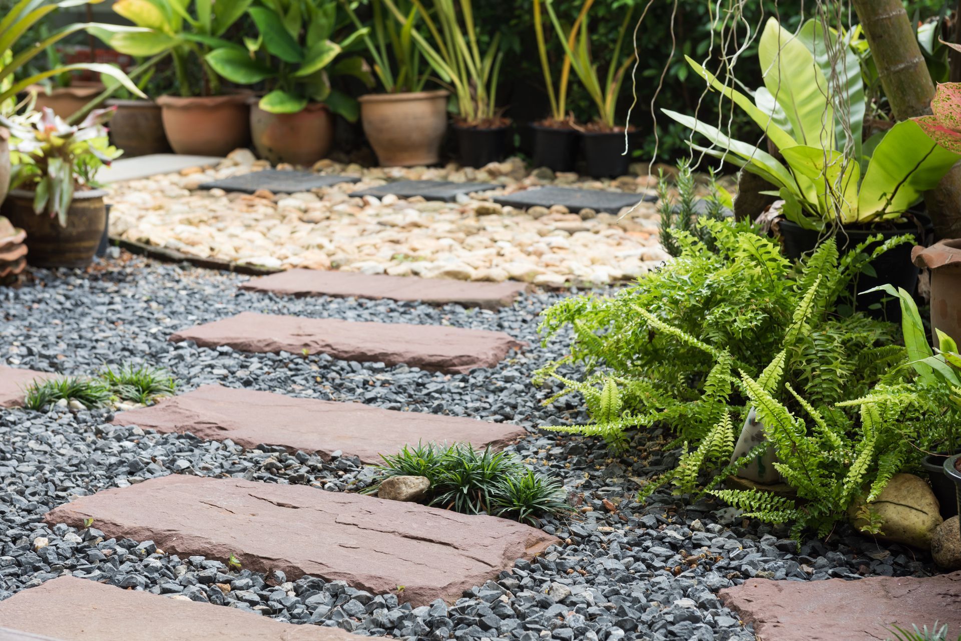 Stone steps in a garden