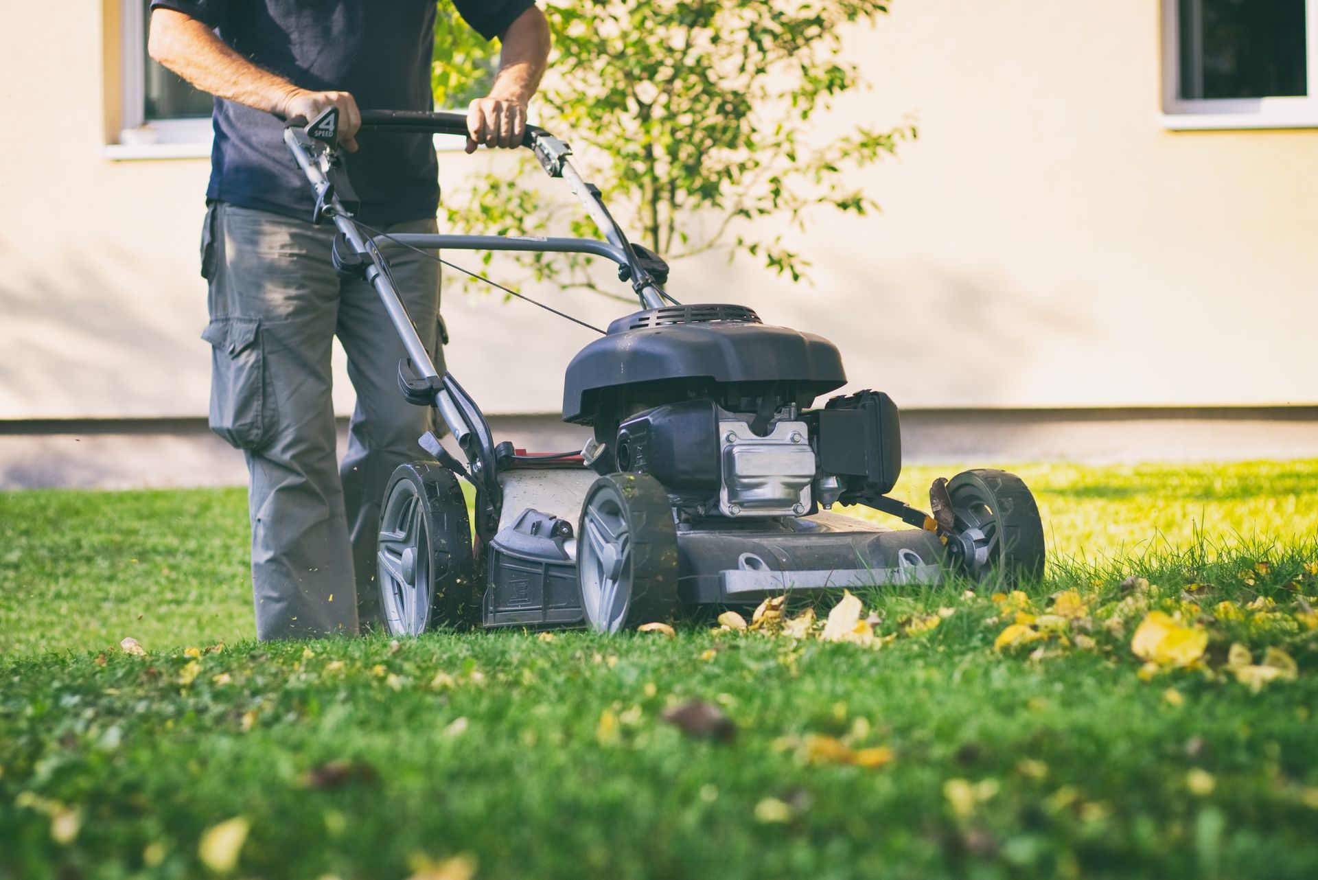 A homeowner is mowing the grass with a lawn mower from a lawn mower dealer.