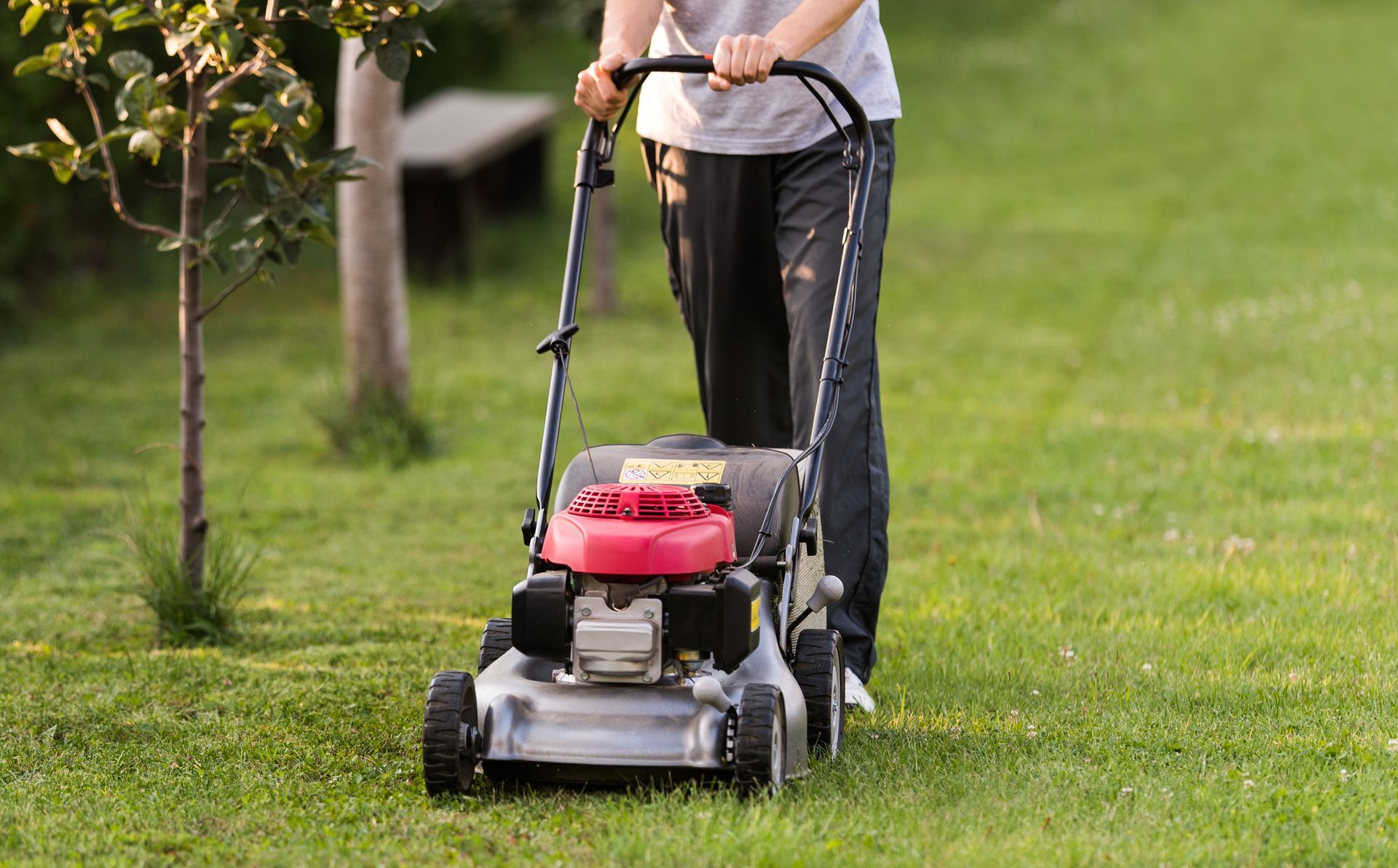 Person pushing a red lawn mower across a green yard, trimming grass in a well-maintained garden. Person pushing a red lawn mower across a green yard, trimming grass in a well-maintained garden.