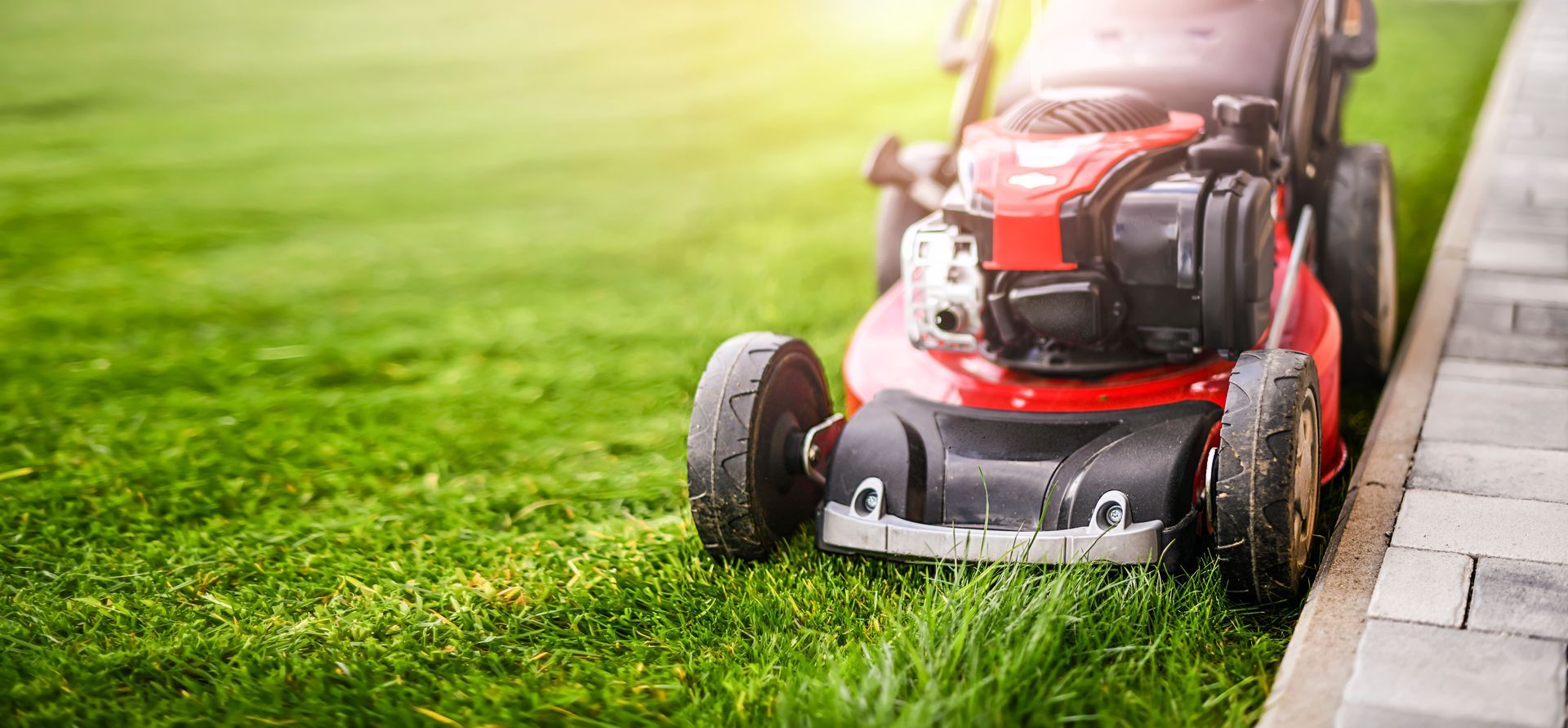 Lawn mower on green grass showcasing new lawn mower store quality in modern garden. Lawn mower on green grass showcasing new lawn mower store quality in modern garden.
