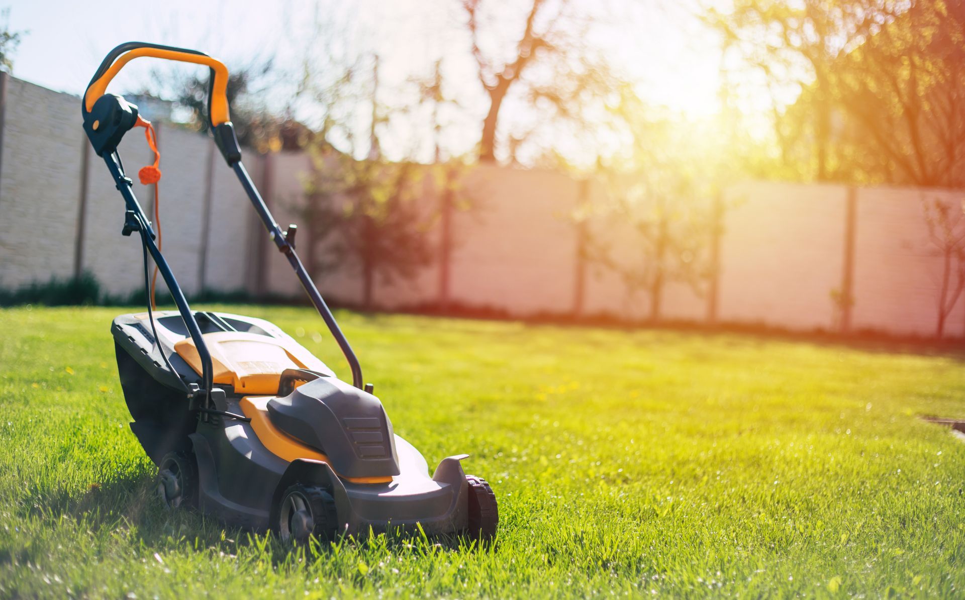 Lawn mower on a lush green yard in a sunny backyard, with trees and a fence in the background.