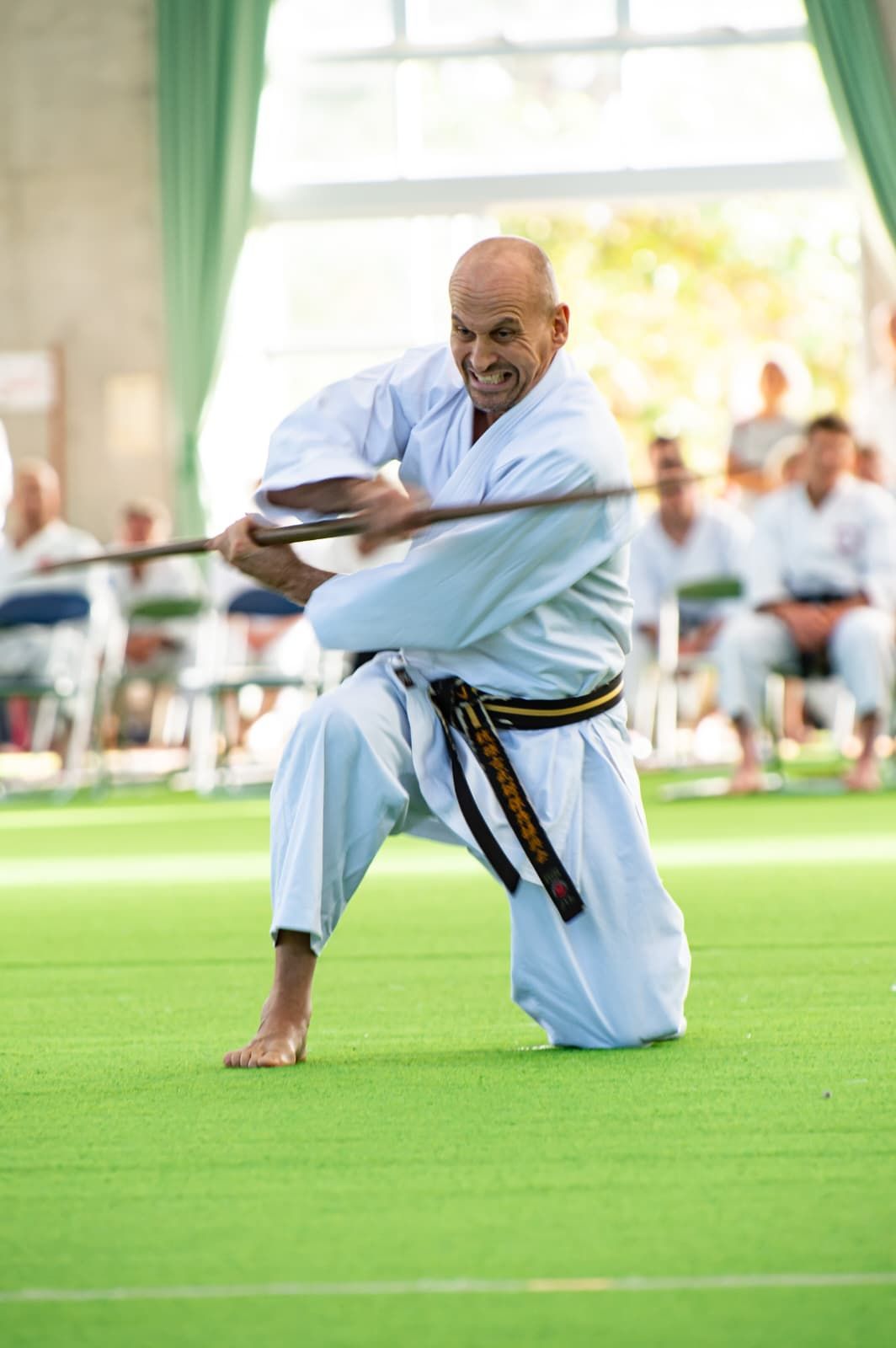 frank van den nieuwendijk kobujutsu seminar