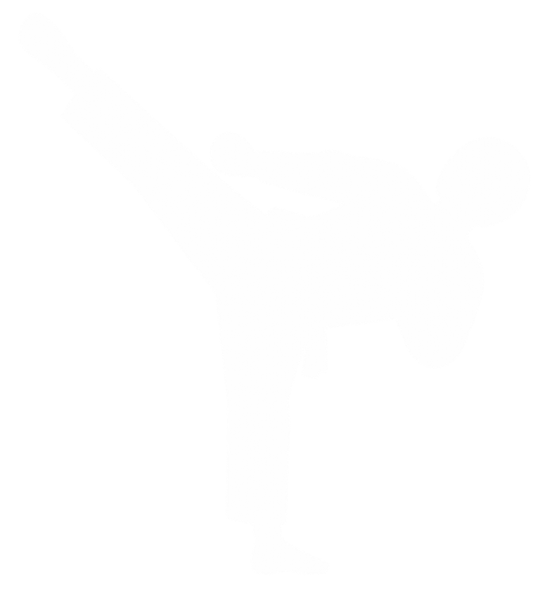 hoge trap karate 3