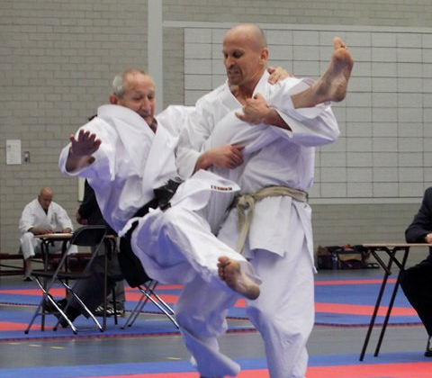Ad van es, frank van den nieuwendijk demonstratie examens karate