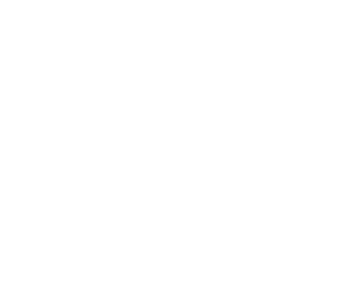Martin Marine Icon