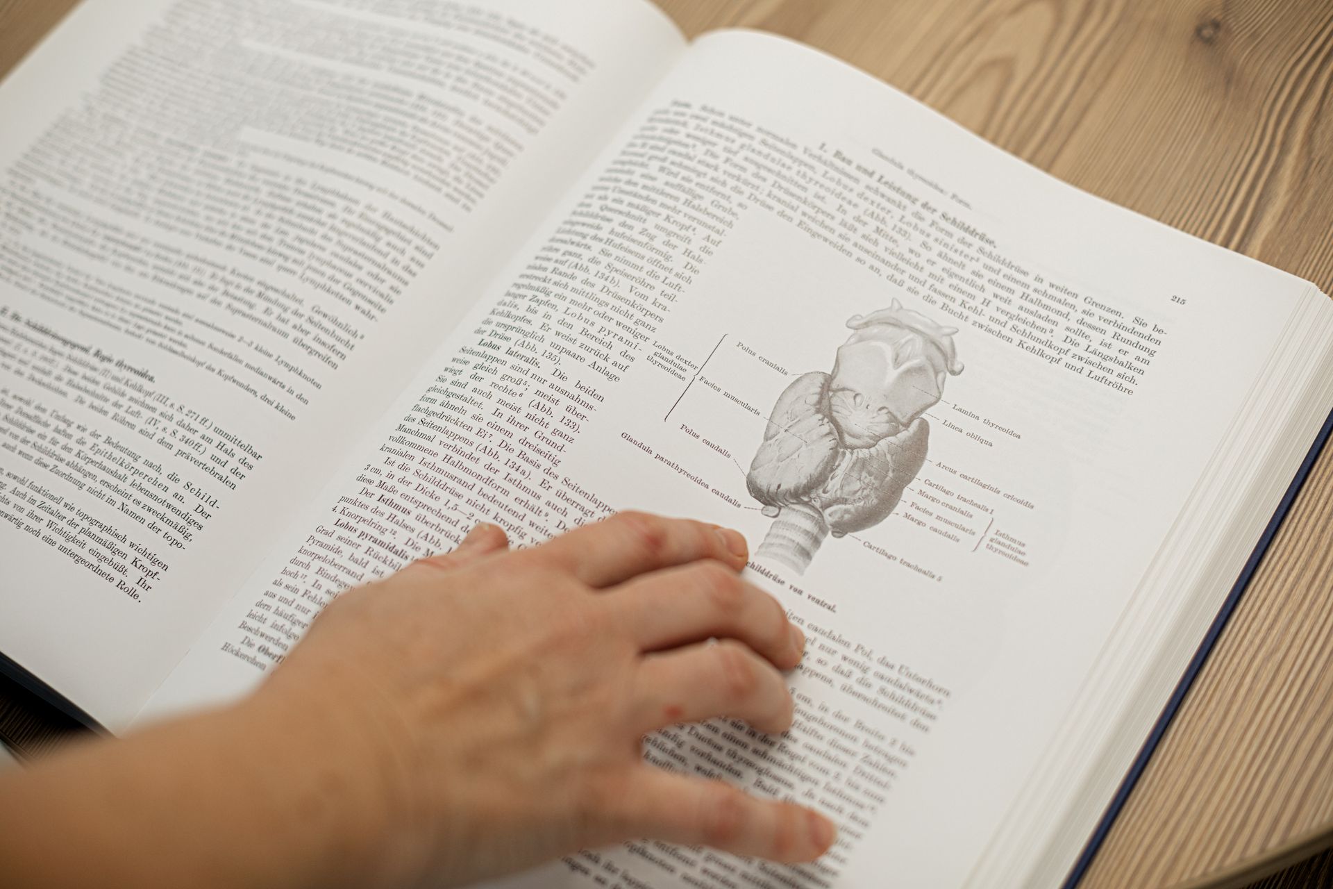 Eine Person zeigt auf ein Diagramm in einem Buch.