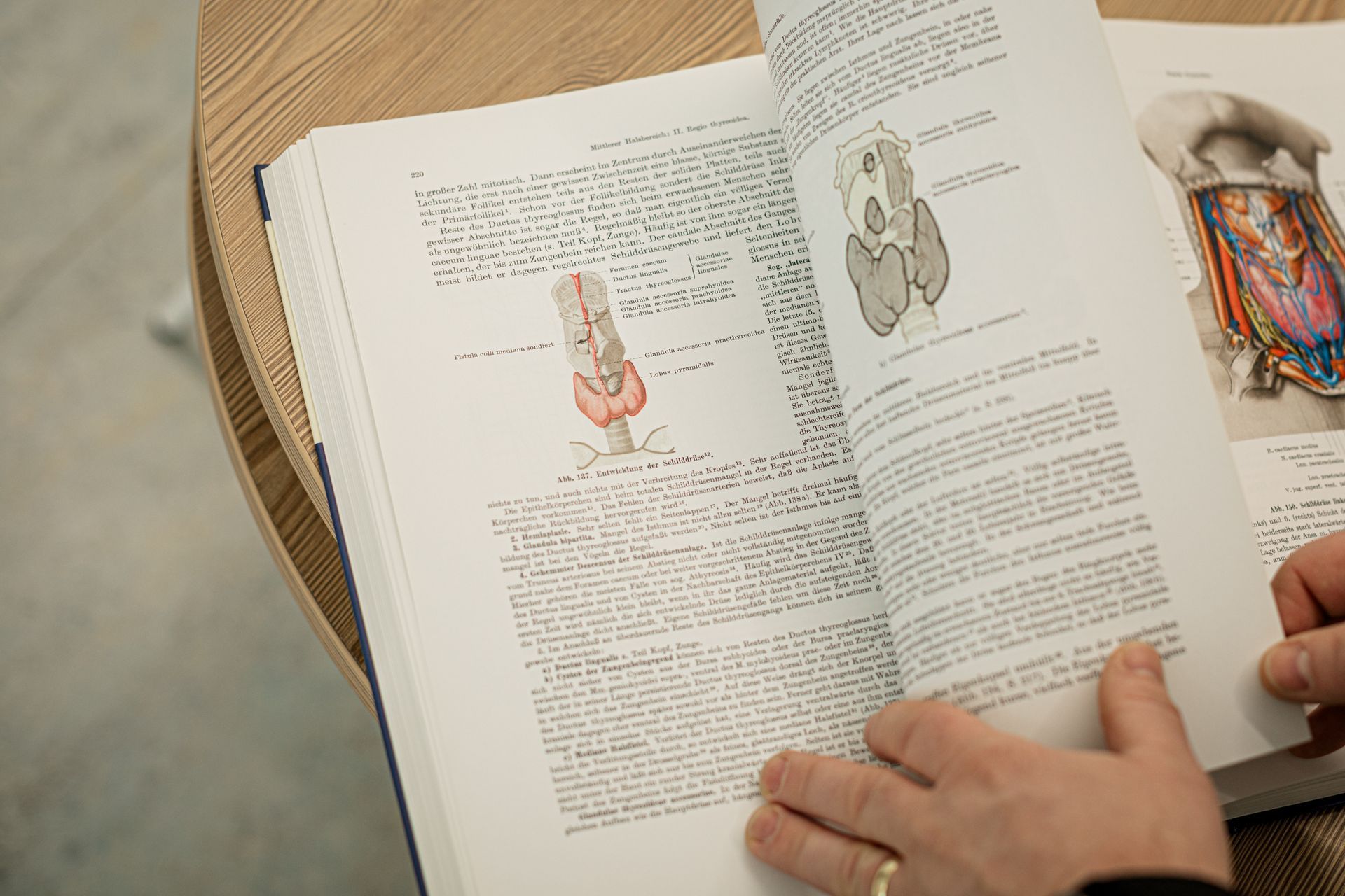 Eine Person liest ein Buch auf einem Tisch.