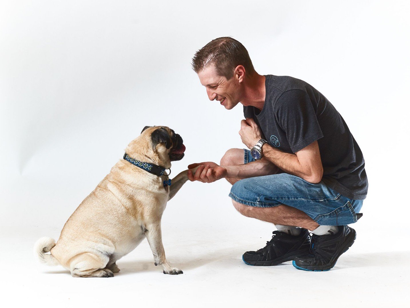 Dog Training Calgary Pawsitively Pooched