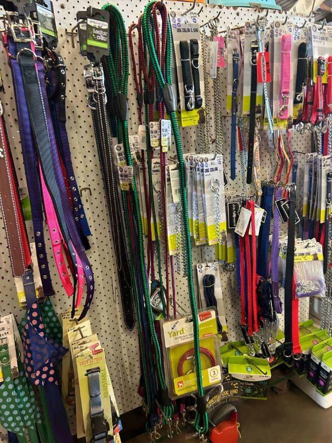 A Bunch of Leashes and Collars Are Hanging — Barnyard Stockfeed, Pet, Garden and Florist in Childers, QLD