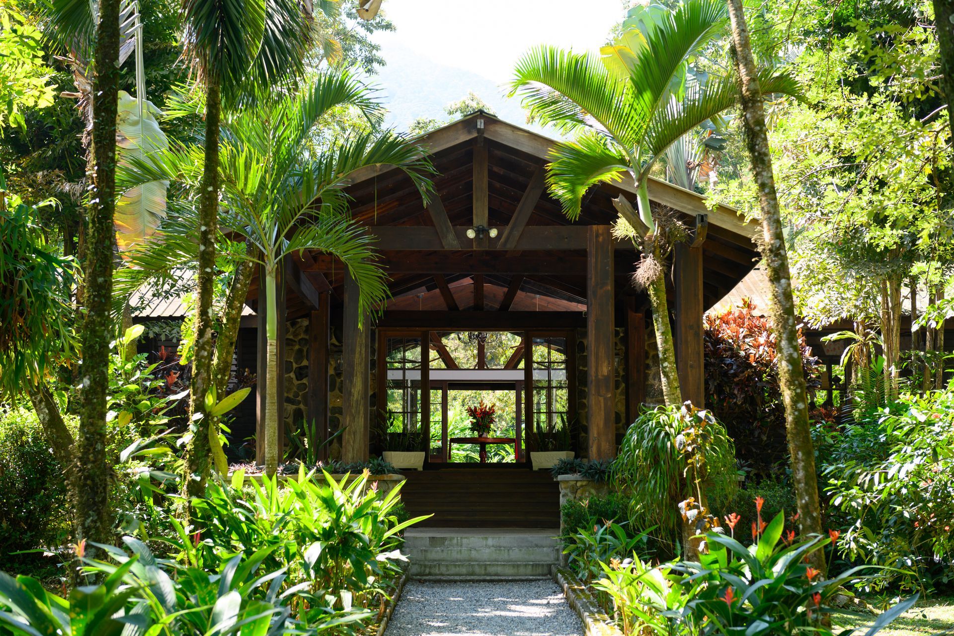 A house in the middle of a lush green forest surrounded by trees.