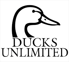 Ducks Logo