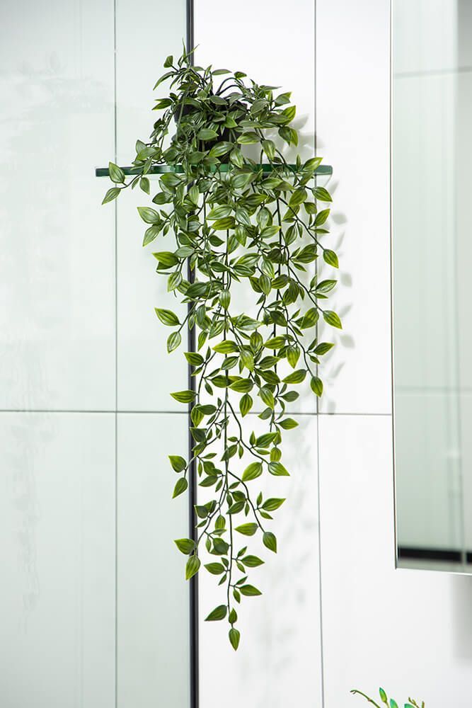 A Plant is Hanging From a Pole on a Wall — Omni Builders In Bungalow, QLD