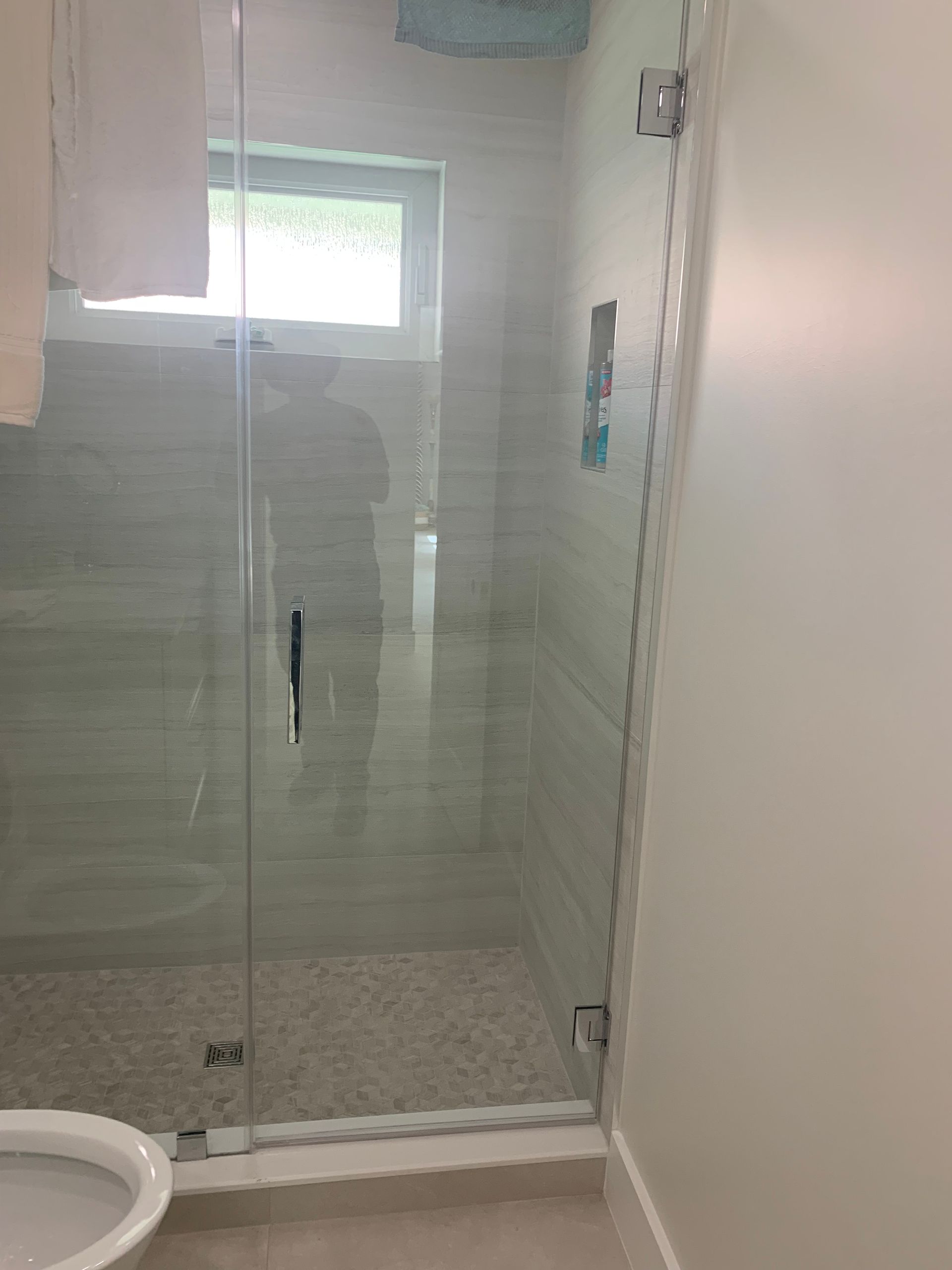 A bathroom with a glass shower door and a toilet.