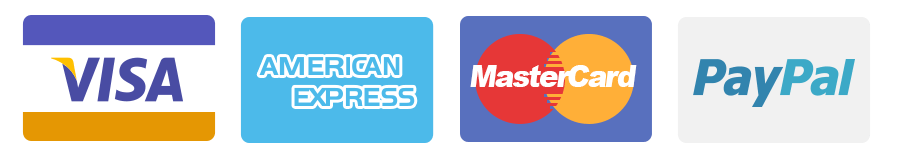 Logos for Visa, American Express, Mastercard, and PayPal.