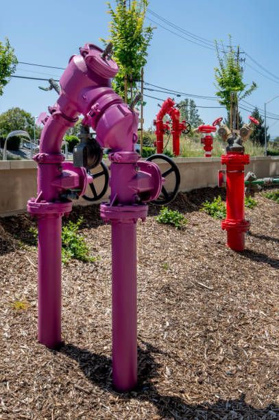 A row of pink and red fire hydrants in a park