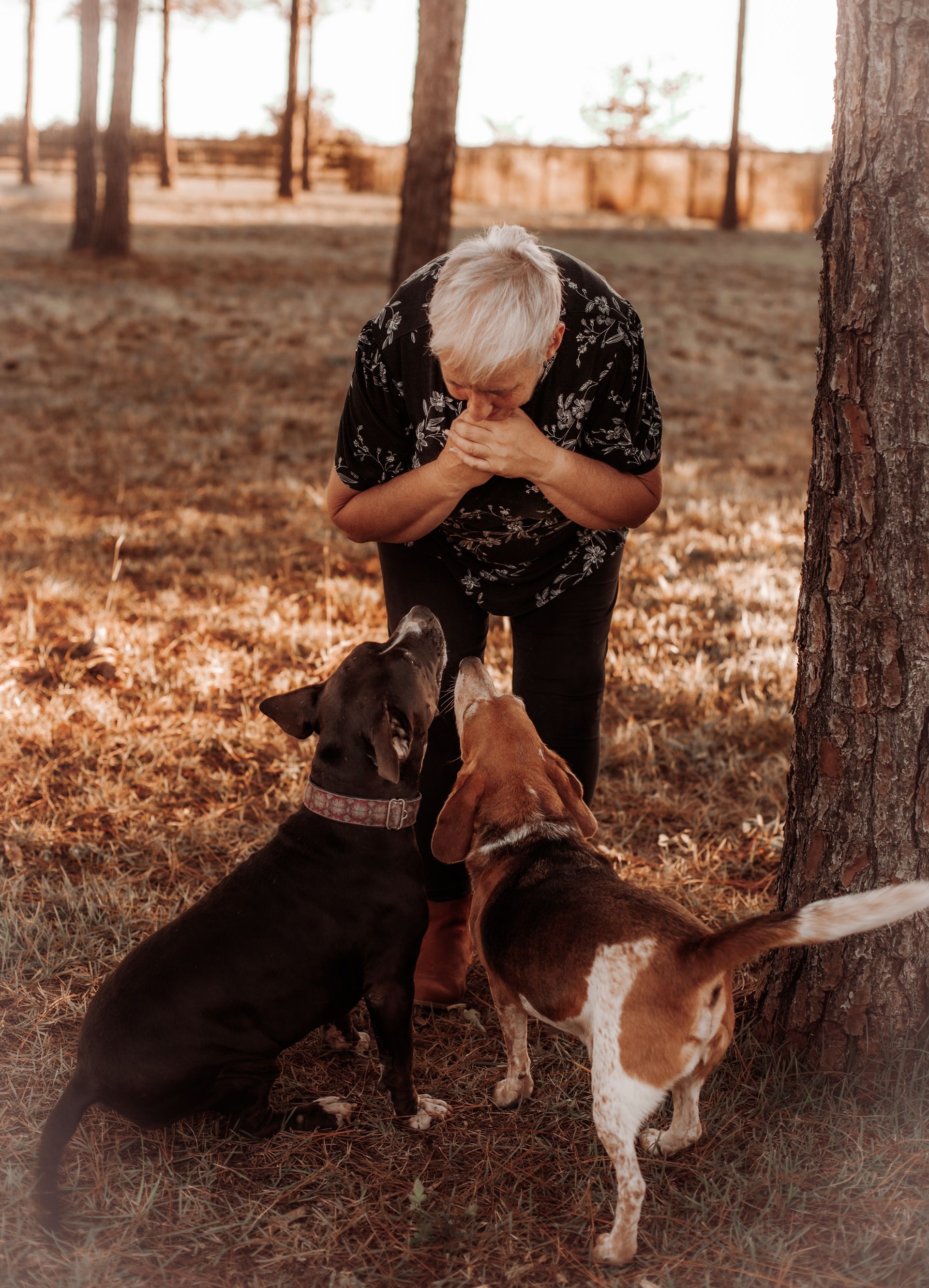 Dog trained by Happy Owner Happy Dog