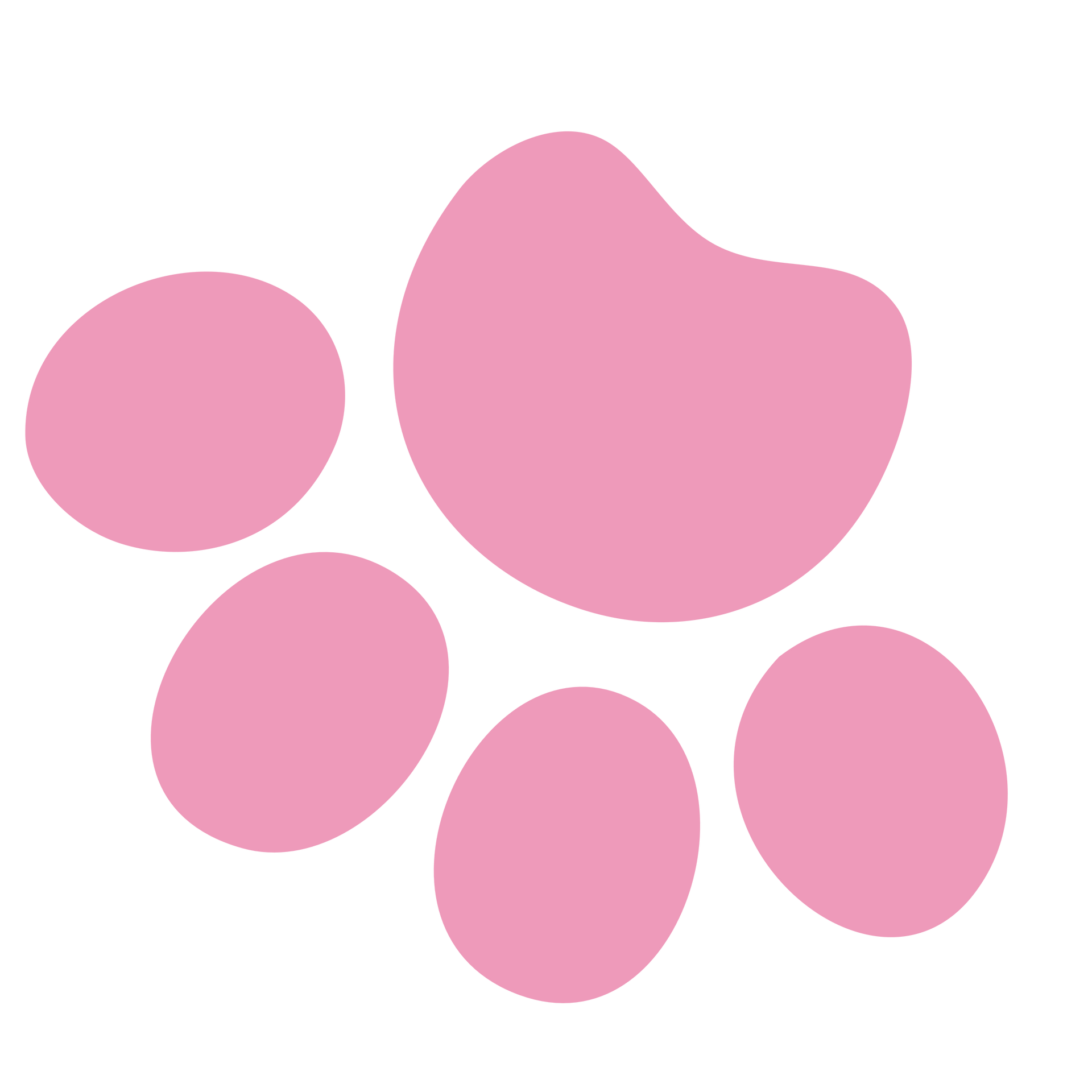 a pink paw print on a white background .