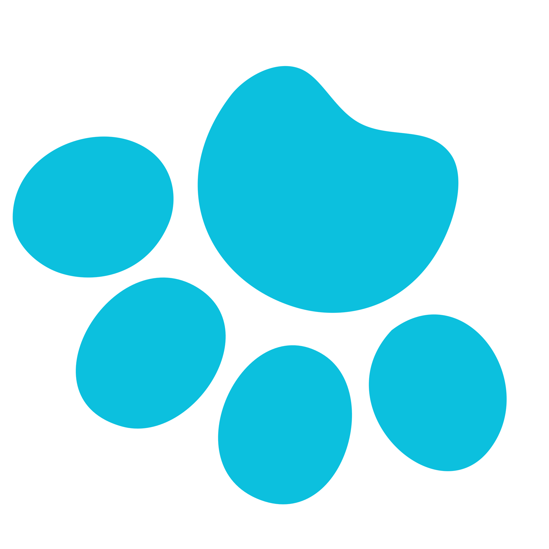 a blue paw print on a white background