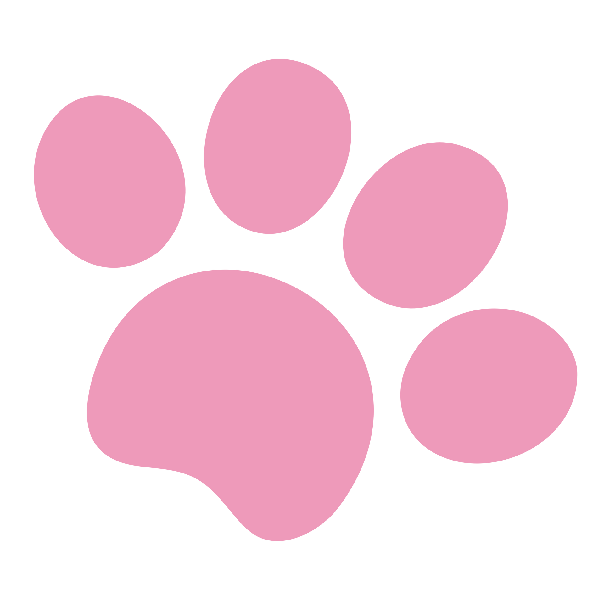 a pink paw print on a white background .