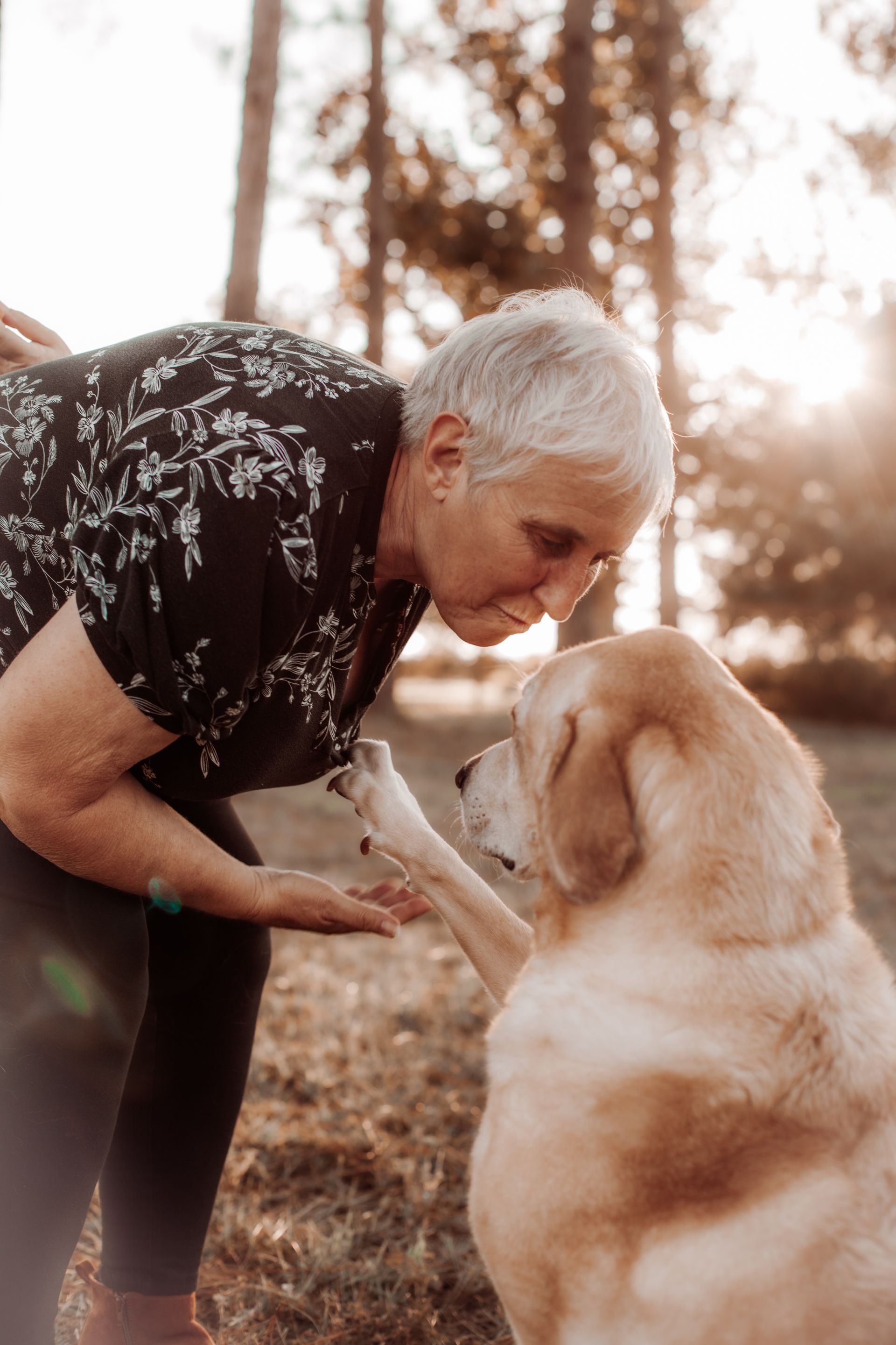 a woman is petting a dog 's paw in a park .
