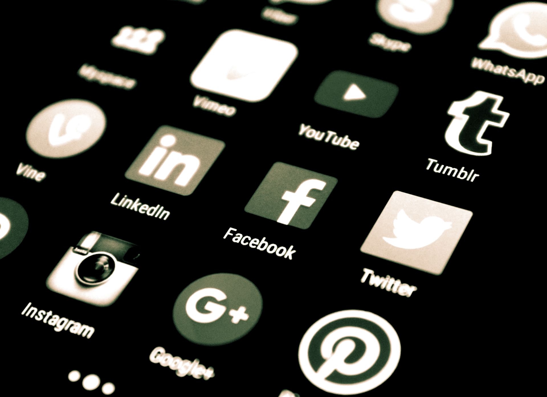 social media management