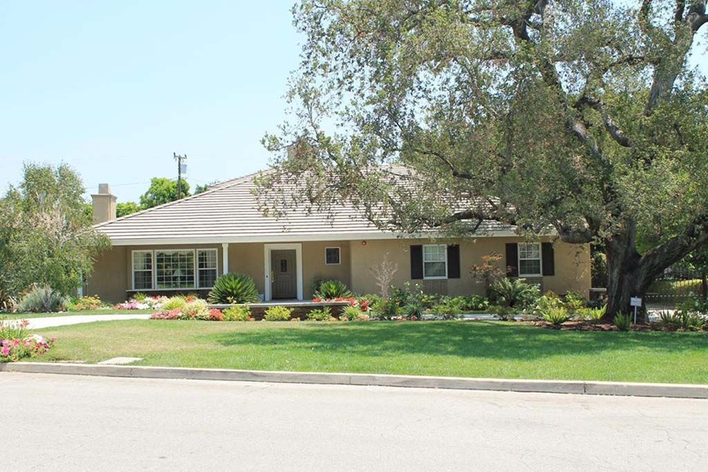 A house with a large tree in front of it