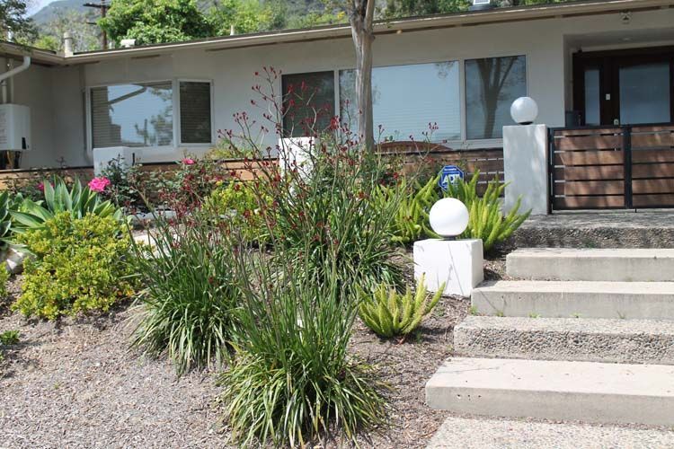 A house with stairs and plants in front of it