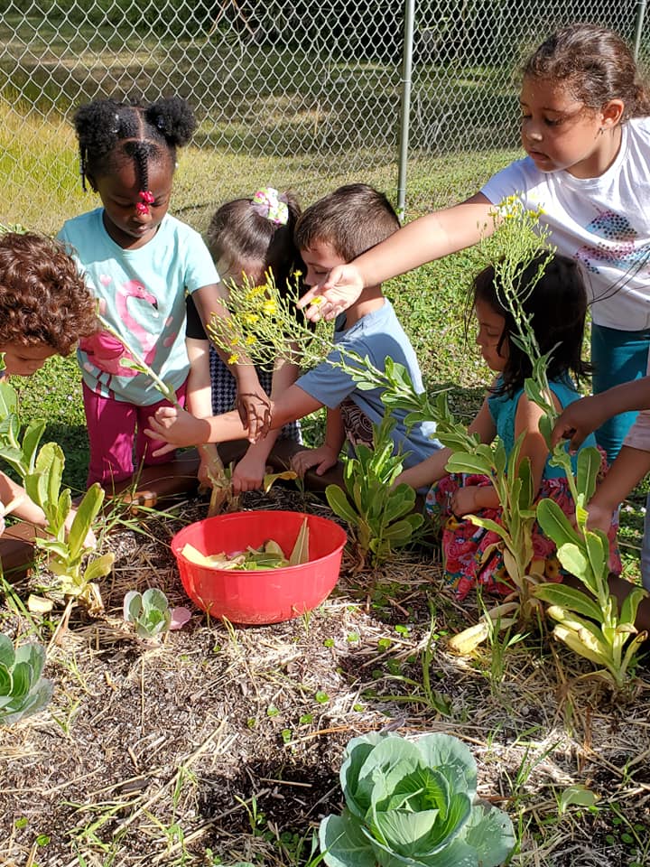 VPK Program