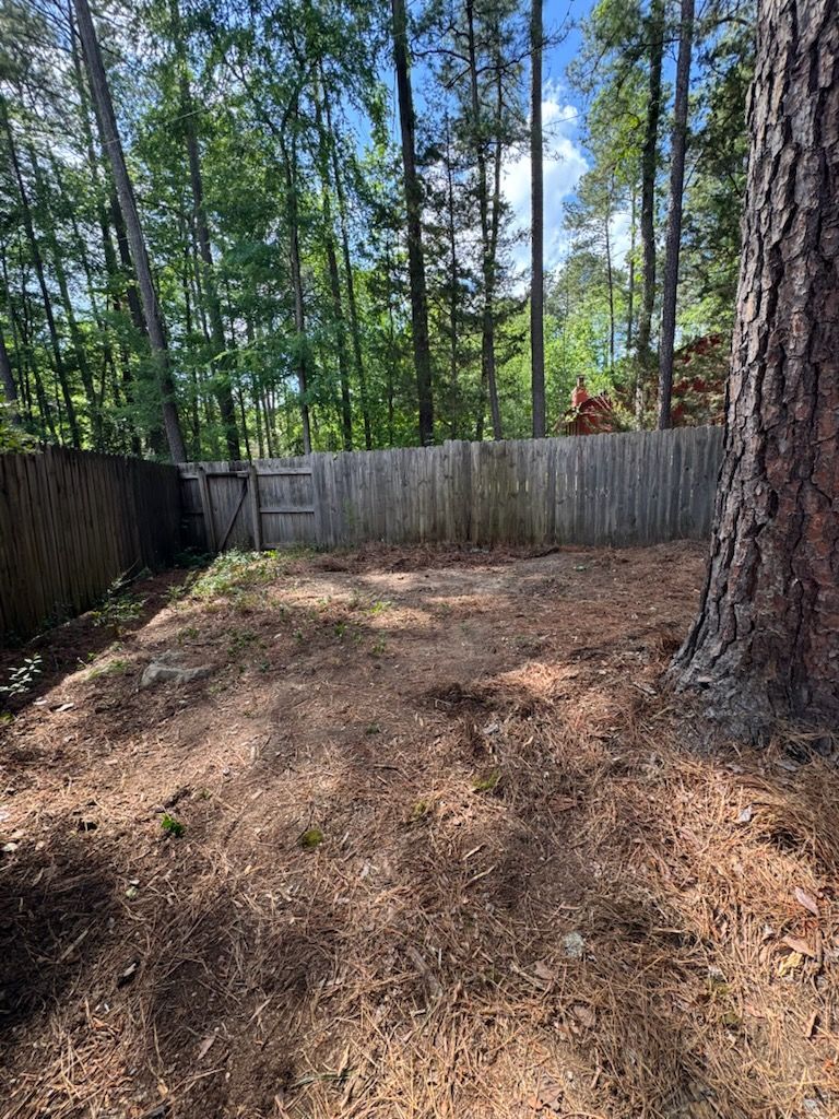 Small fenced backyard with pine needles, trees, and a large pine trunk in the foreground.