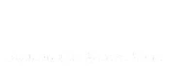 logo-image