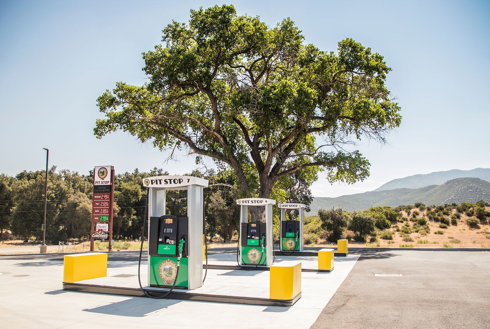 A bp gas station with a tree in the background