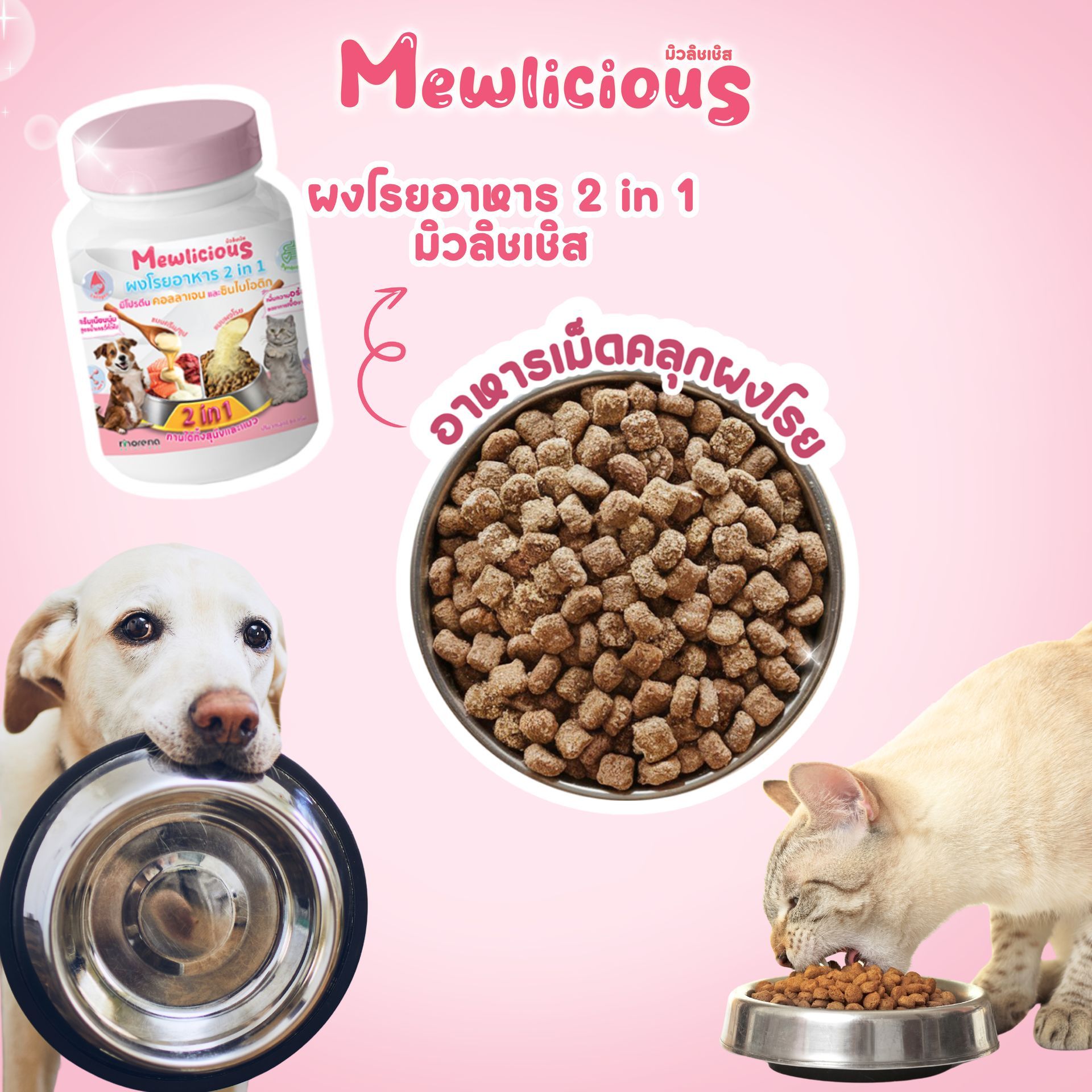 A dog is eating from a bowl next to a cat eating from a bowl.