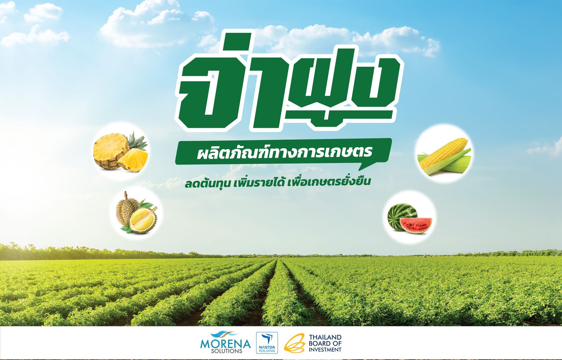 A poster with a field of green plants and fruits on it