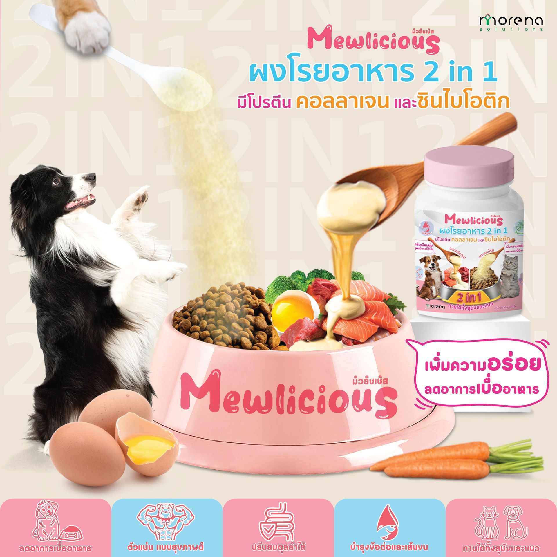 ผงโรยแก้เบื่ออาหาร