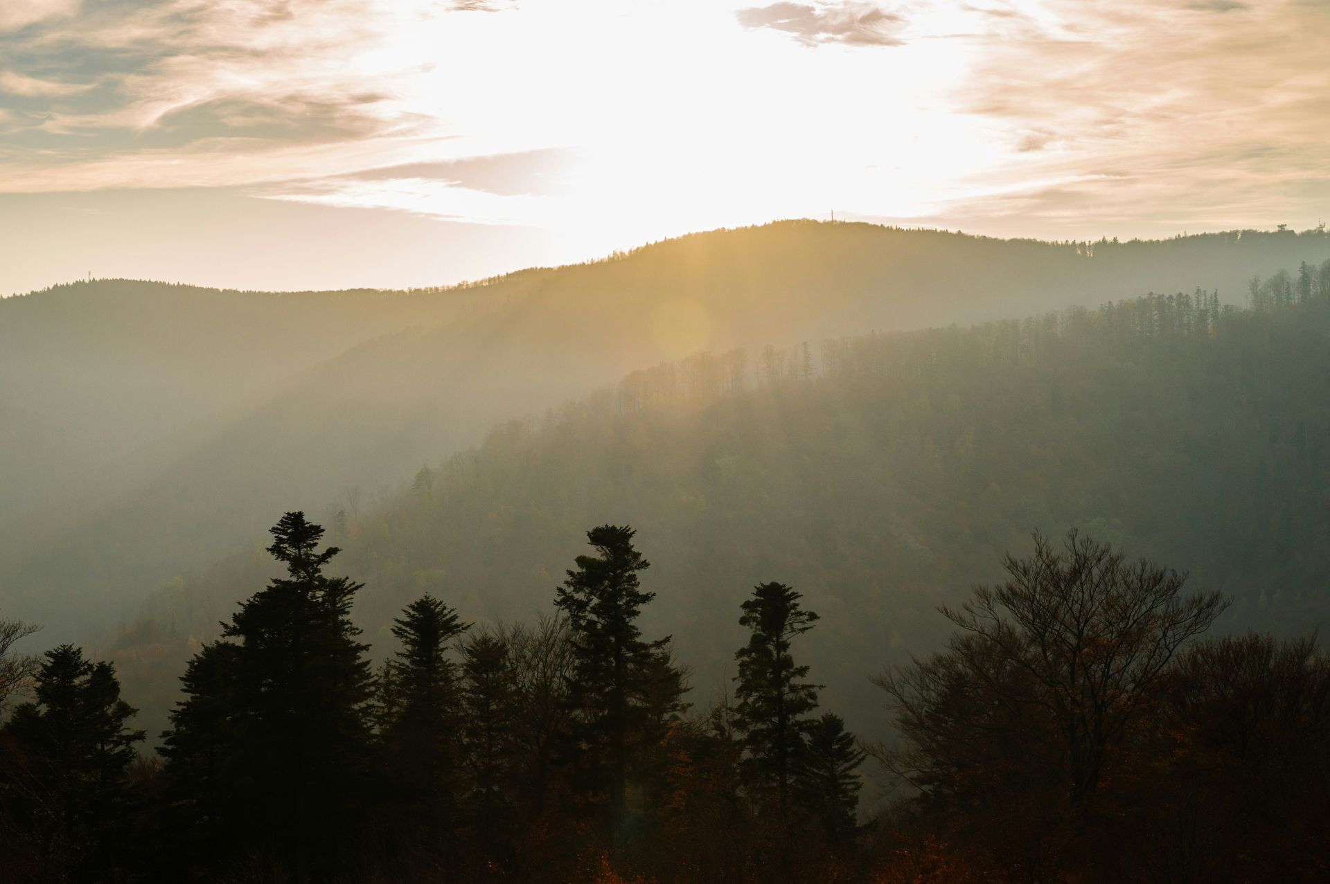 Sunlight filters through misty mountain landscape, silhouetting trees.