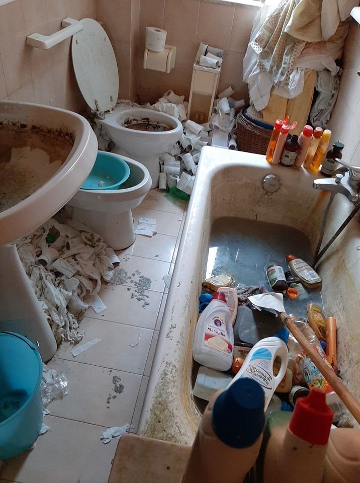 pulizie per barbonismo domestico Roma
