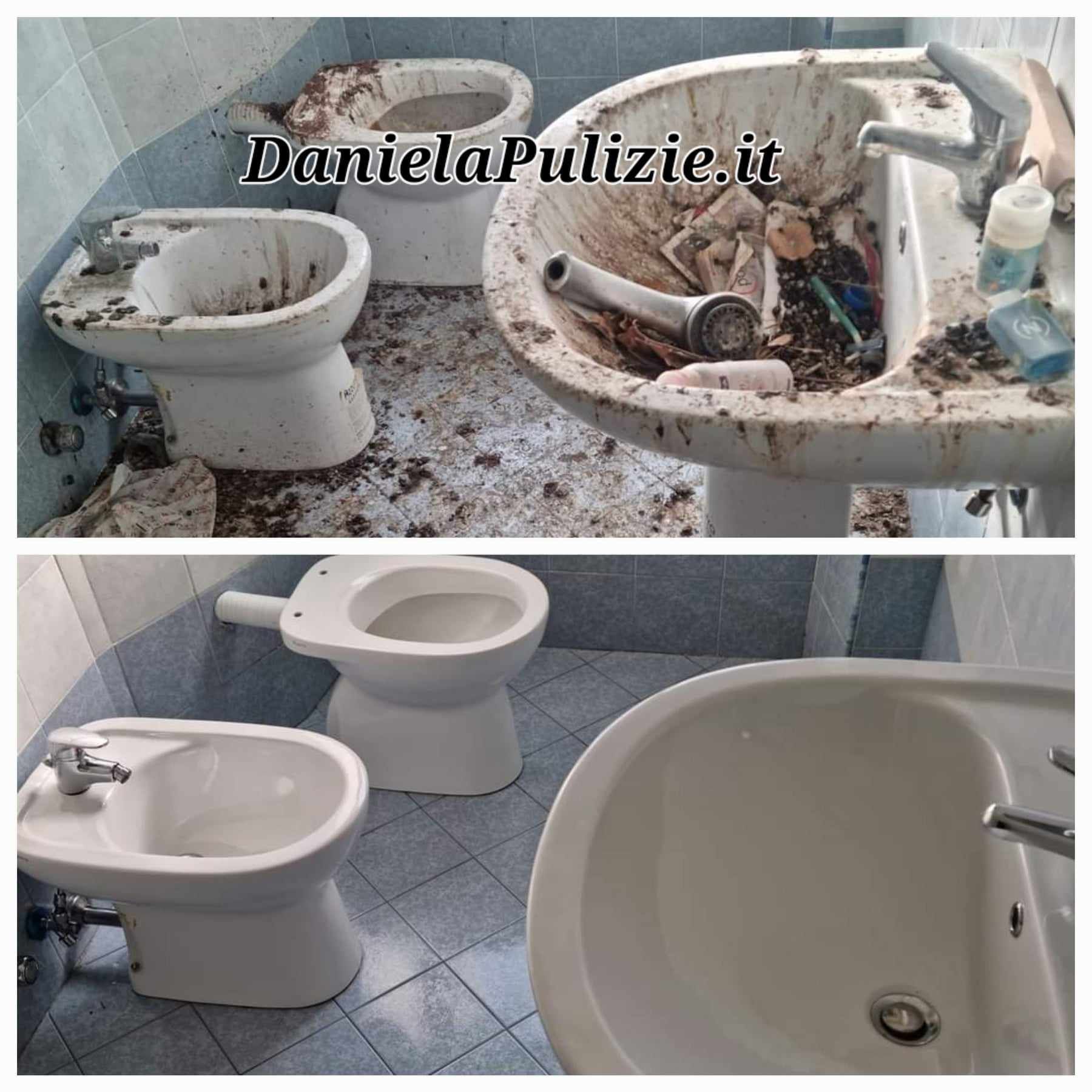 pulizia appartamento dal guano piccione