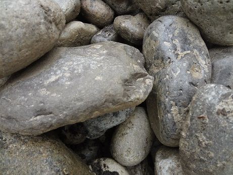 A close-up view of smooth, rounded river stones in shades of gray and tan, clustered together.