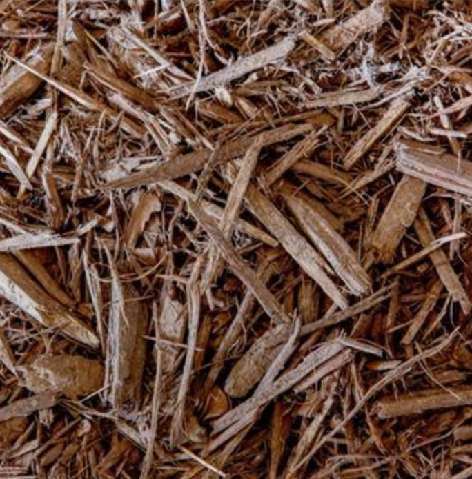 A dense layer of shredded brown wood mulch covering the ground.