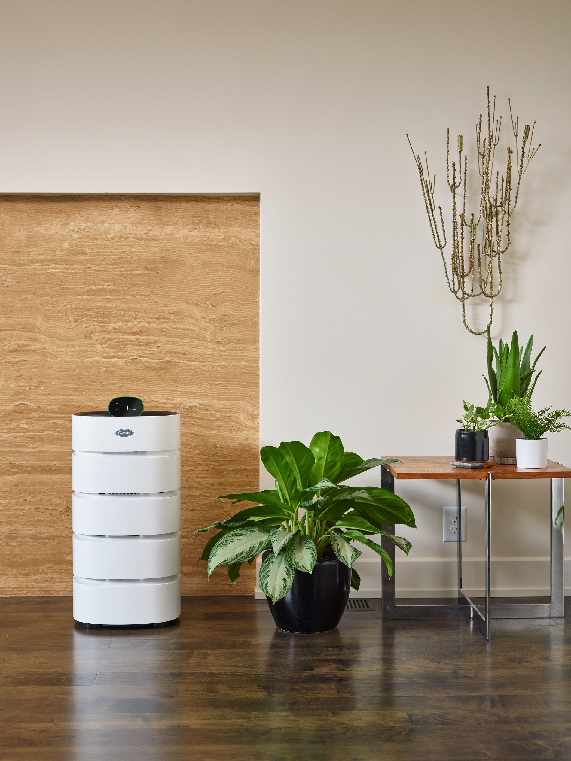 White air purifier next to a cork wall and several potted plants in a modern interior.