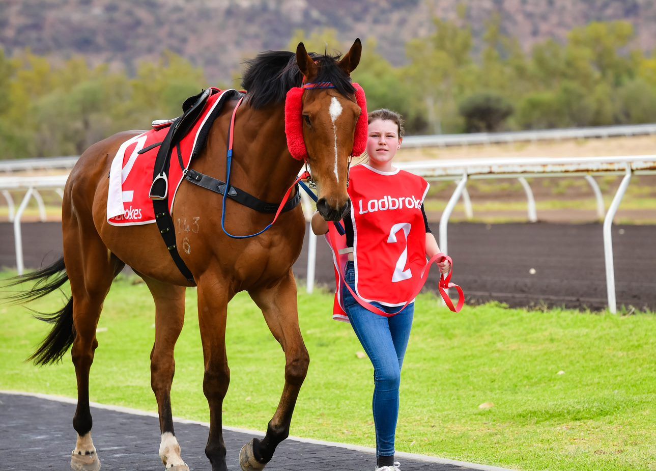 A woman in a red shirt with the number 2 on it leads a brown horse