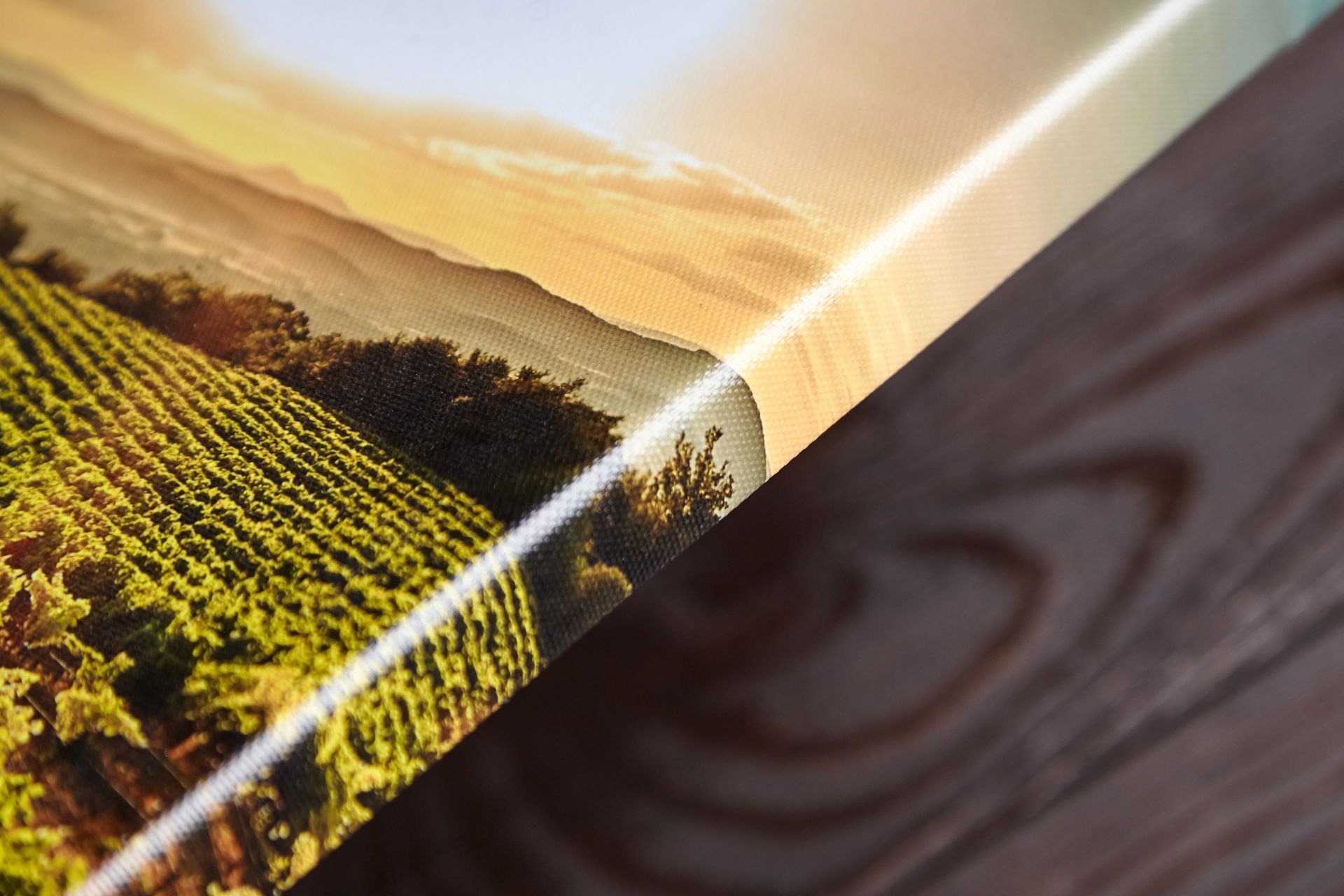 Close-up of a photo book showing a sunlit vineyard landscape and sky with a wood-grain cover