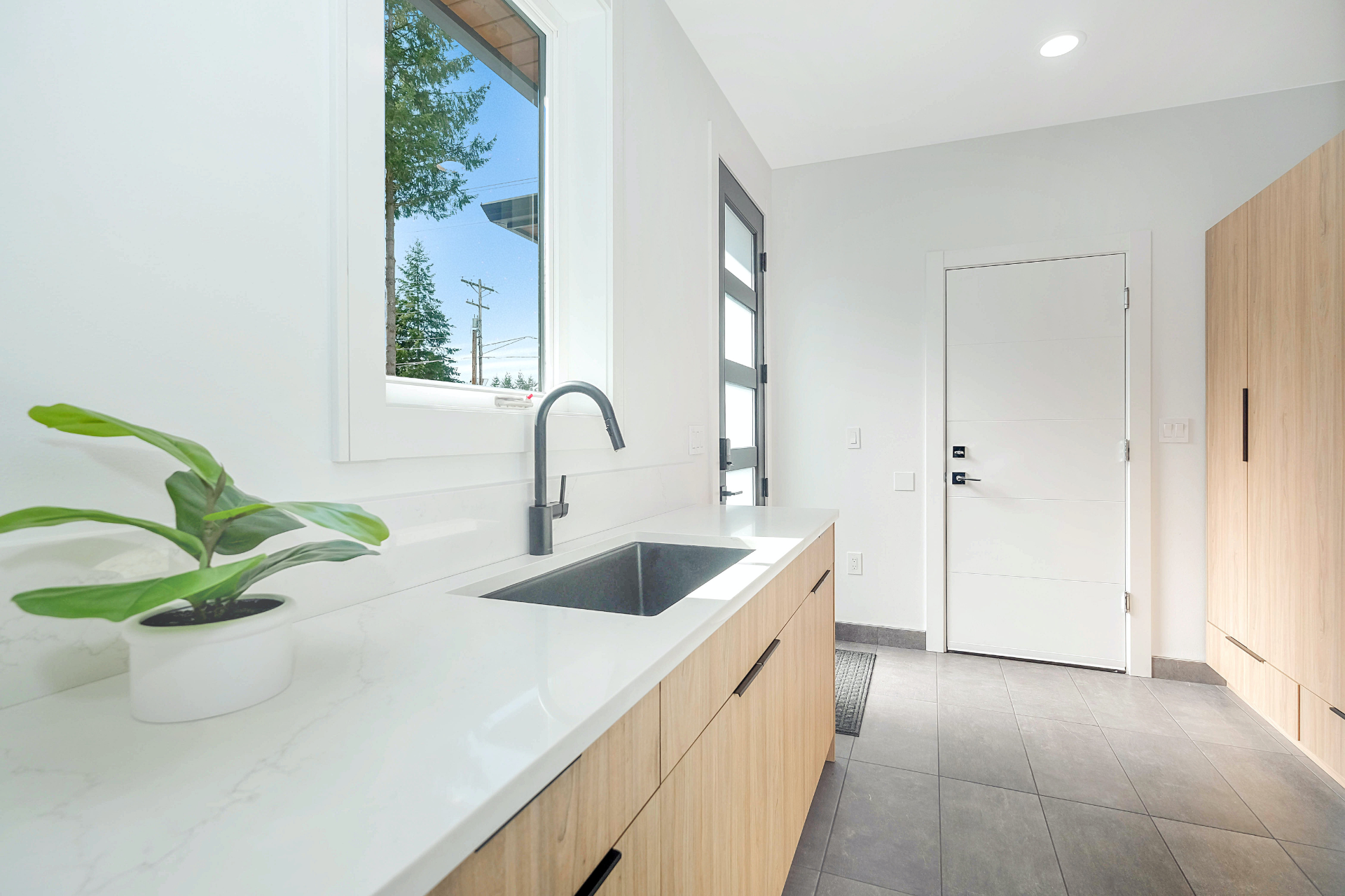 A laundry with a sink and a potted plant on the counter.