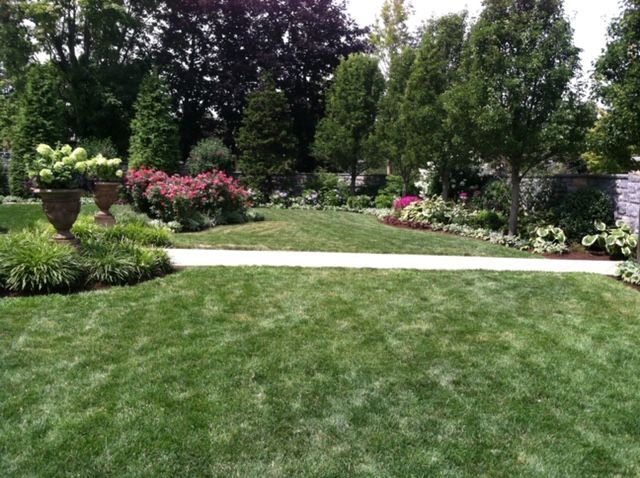 Lush garden with green lawn, flowering shrubs, and tall trees behind a stone path