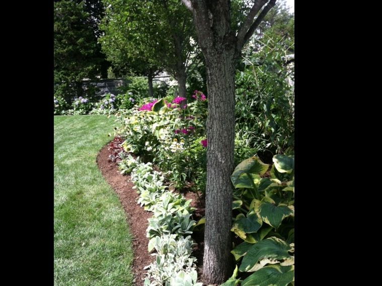 Curved flower bed with pink and white blooms beside a tree in a grassy garden