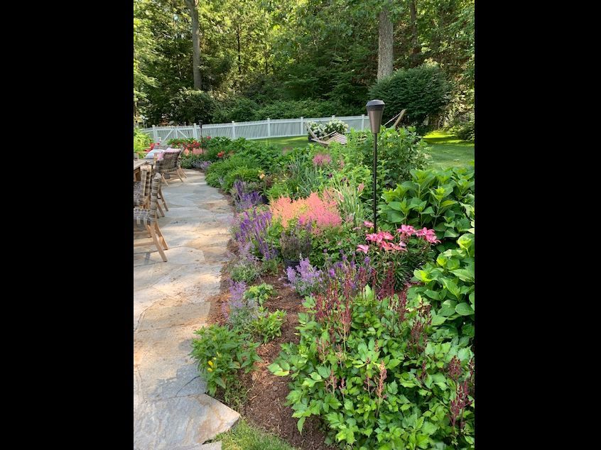 Curved garden path beside colorful flower beds and greenery under tall trees