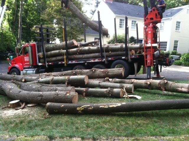 Red logging truck loaded with cut tree trunks on a street, with logs scattered in the foreground.