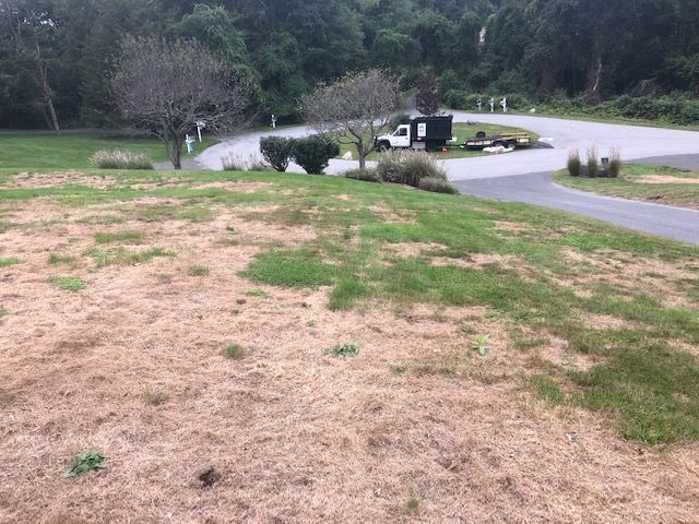 Dry grassy lawn overlooking a curving road and parking area near trees and a forested hillside.